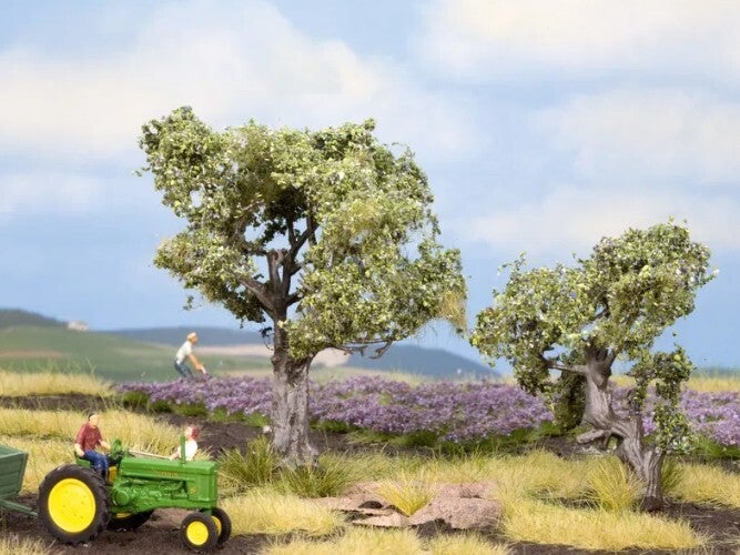 NOCH 21995 Olivenbäume