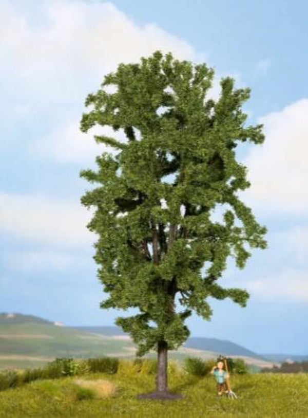 NOCH 25895 Rosskastanie