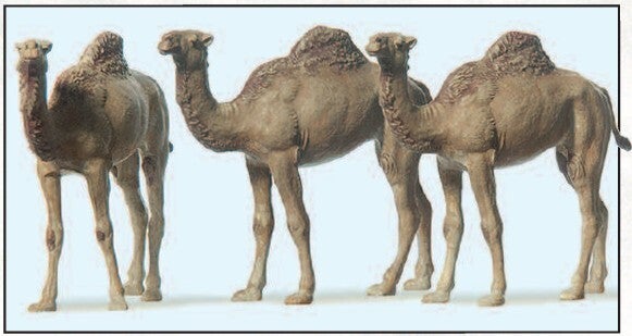 Preiser 20397 Dromedare