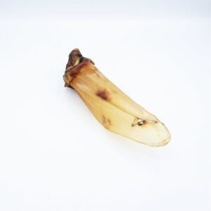 Yoica Runderoor met vlees bulk 100stuks