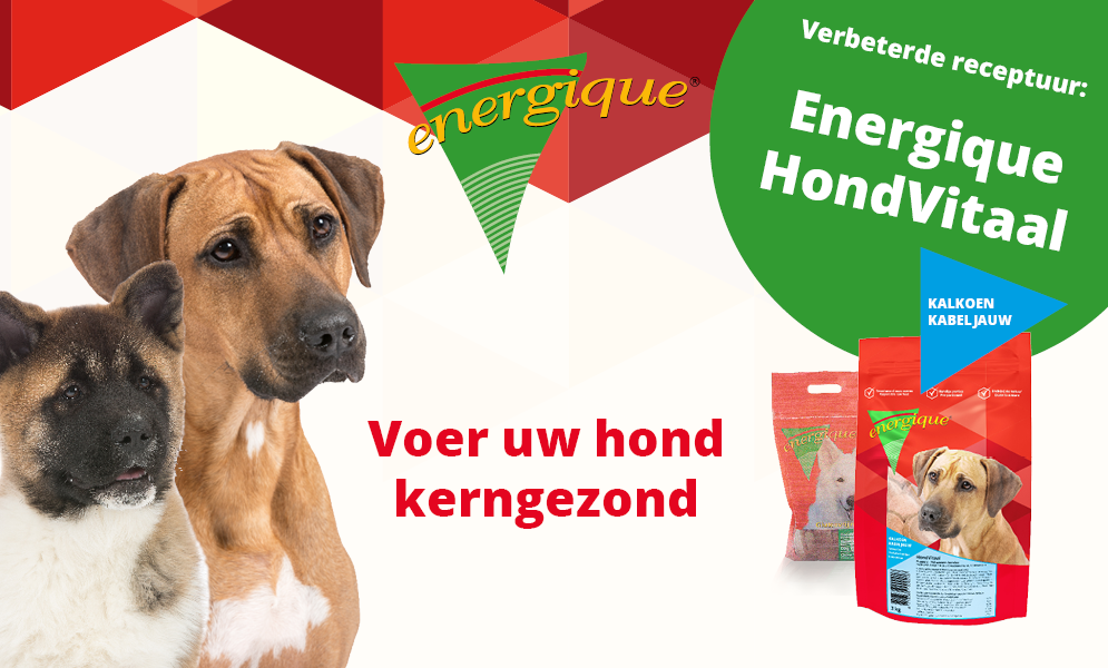 Energique Hondvitaal Kalkoen-Kabeljauw 12kg