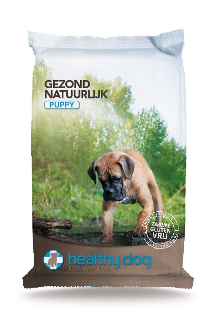 Healthy Dog Puppy