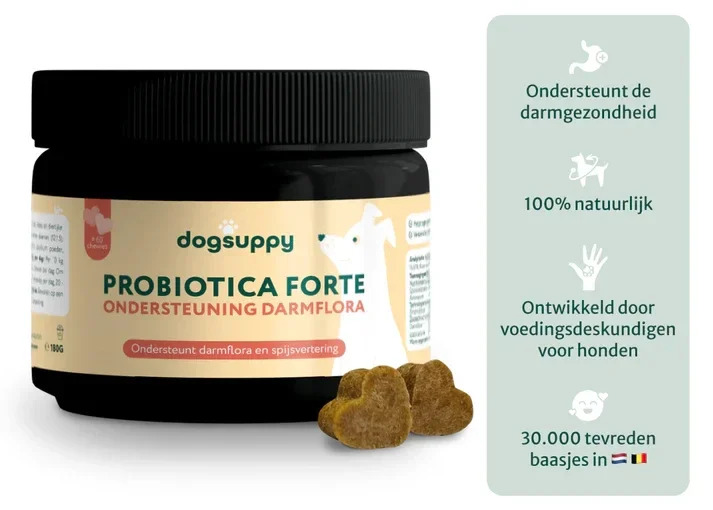 DogSuppy Probiotica met Kip 180gr