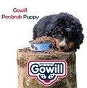 Gowill persbrok Puppy