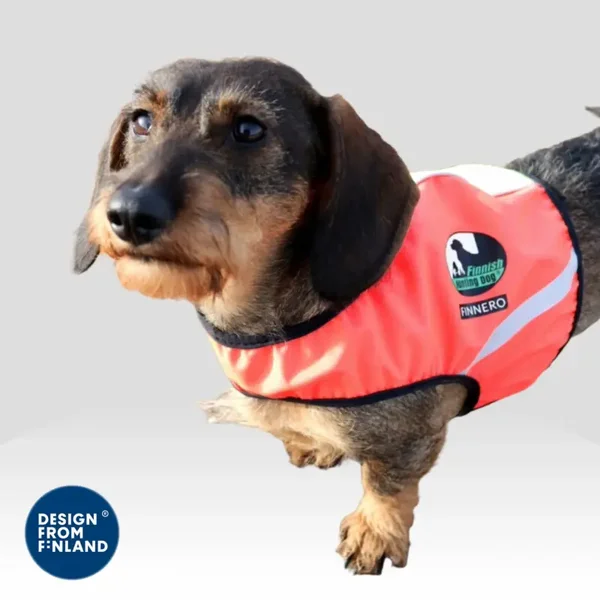 FINNERO UKKO tweekleurig signaalvest voor jachthonden