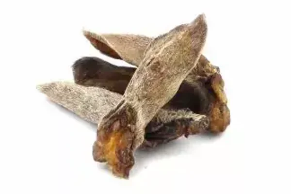 Yoica Geitenoren met haar 100gr