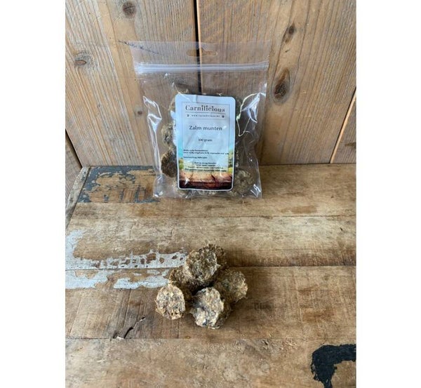 Carnilicious Zalm munten 100gr