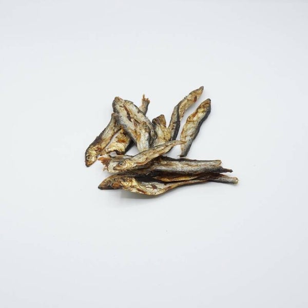 Yoica Vistrainers 60gr