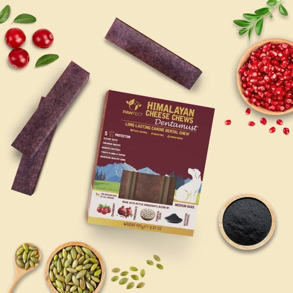 Pawfect Dentamust Bars Cranberry