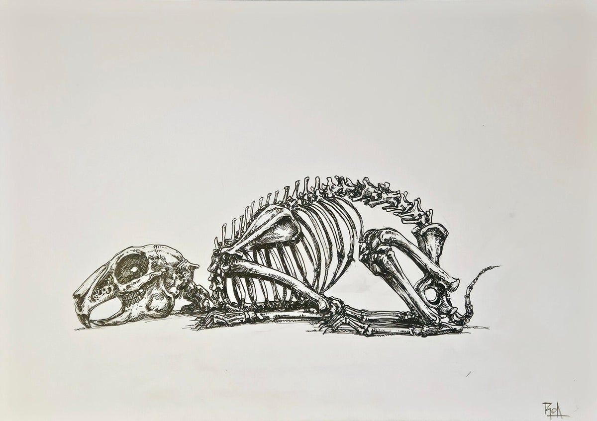 ROA - Year Of The Rabbit (Time to exit) (1-4) | BosArt.gallery