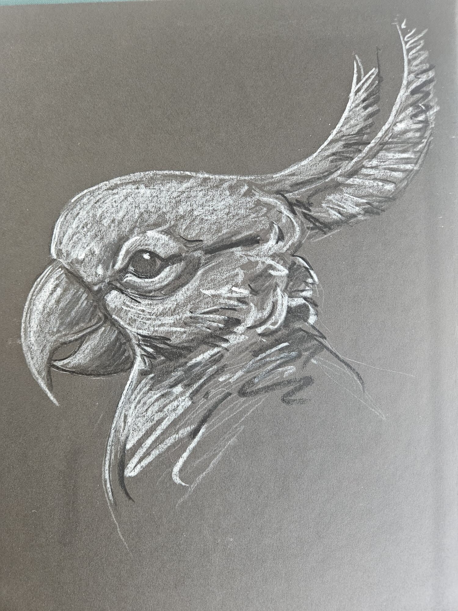 ROA  - Originele tekening