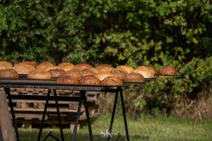 20250913-dsc06055-standard.jpg