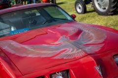 20250913-dsc06248-standard.jpg