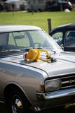 20250913-dsc06250-standard.jpg