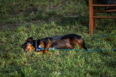 20250913-dsc06289-standard.jpg
