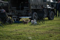 20250913-dsc06291-standard.jpg