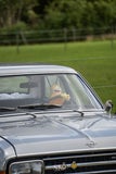 20250913-dsc06324-standard.jpg