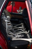20250913-dsc06515-standard.jpg