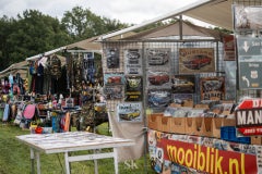 20250913-dsc06652-standard.jpg