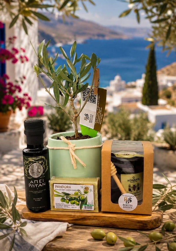 Bertes-Bestes Exklusives Geschenkset „Kleines Stück Griechenland“ – Mini-Olivenbäumchen, griechisches Olivenöl, Olivenölseife & Pinienhonig