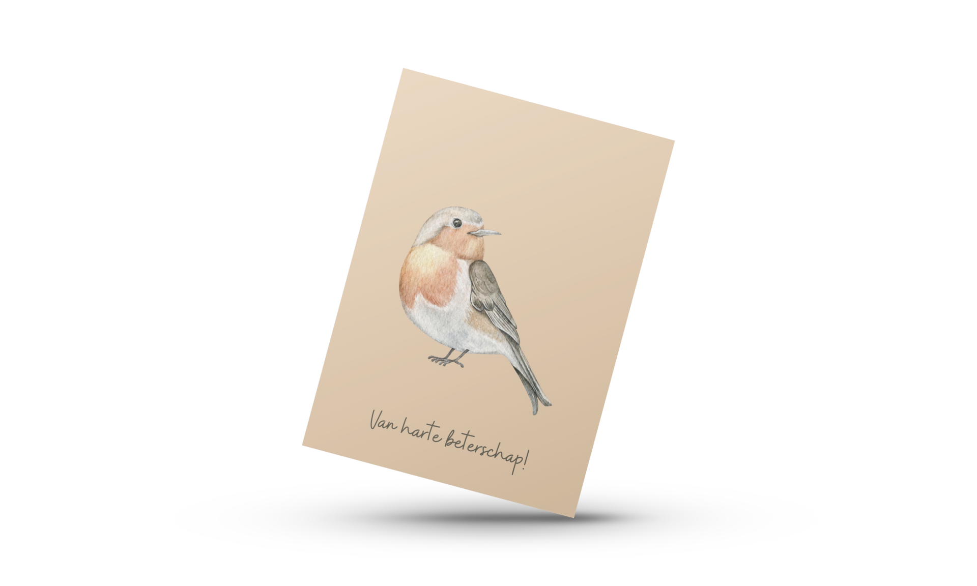 Stijlvol roodborstje