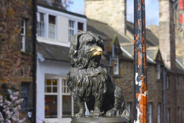 Greyfriars Bobby 2