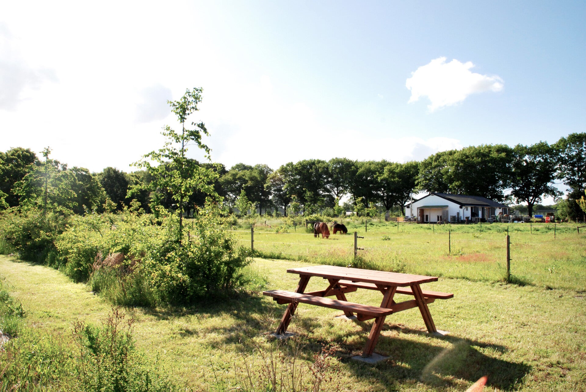 tafel bij de lindenlaan