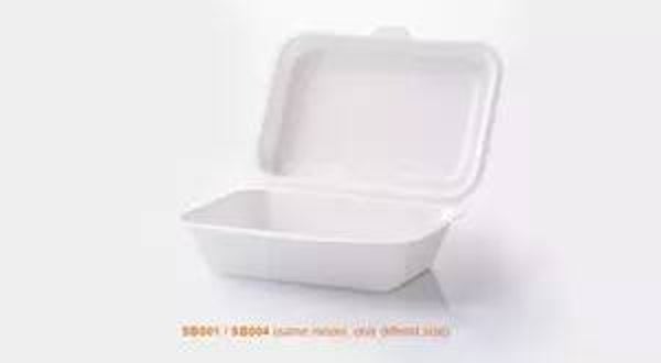 Ecofriendly takeout Food Containers with Lids