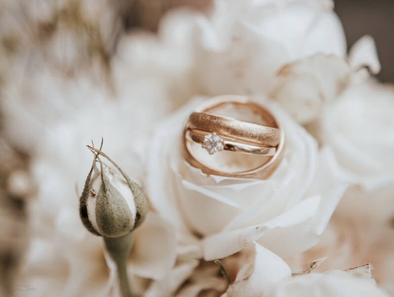 weddingweb-362-standard-w7afgm.jpg