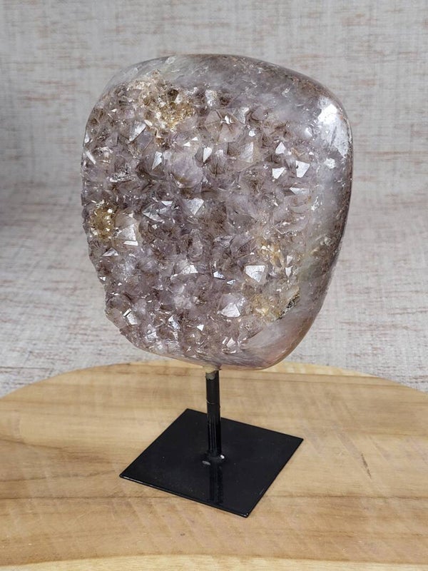 Rotsagaat op Standaard Groot