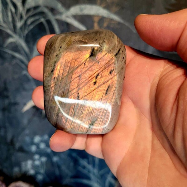 Labradoriet Paars Oranje