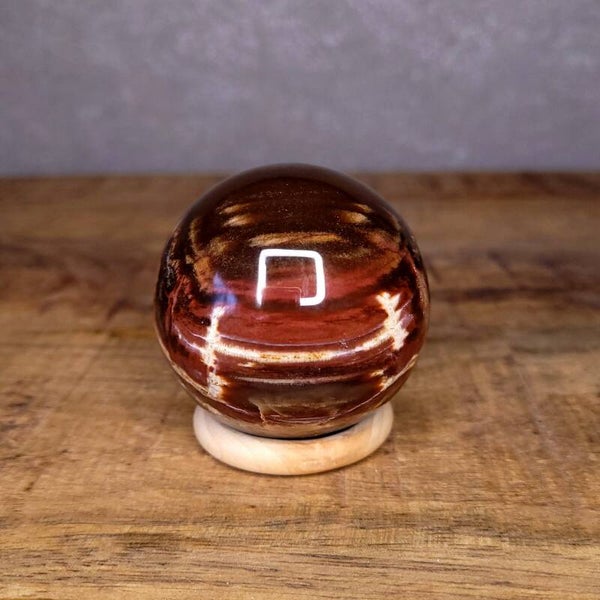 Versteend Hout Bol 55 mm