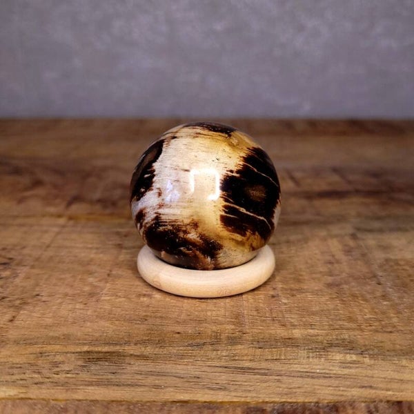 Versteend Hout Bol 43mm