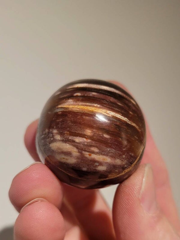 Versteend Hout Bol 39mm