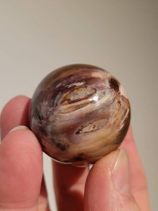 Versteend Hout Bol 40mm