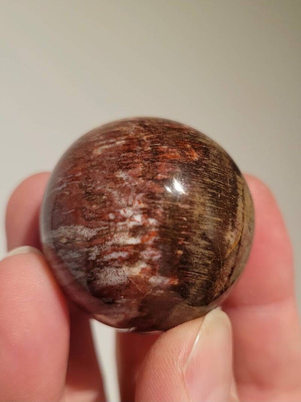 Versteend Hout Bol 40mm