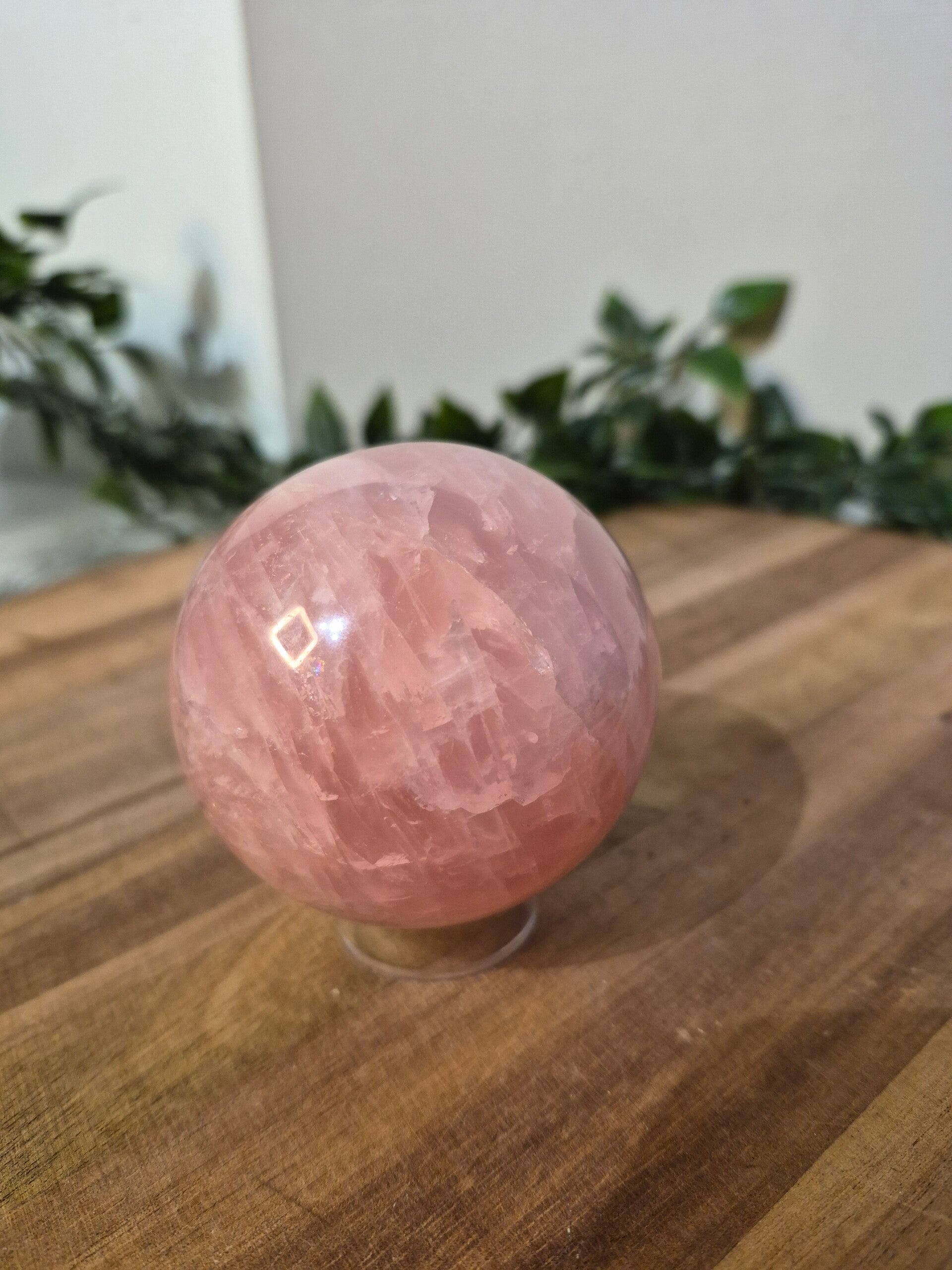 Rozenkwarts Bol 65mm