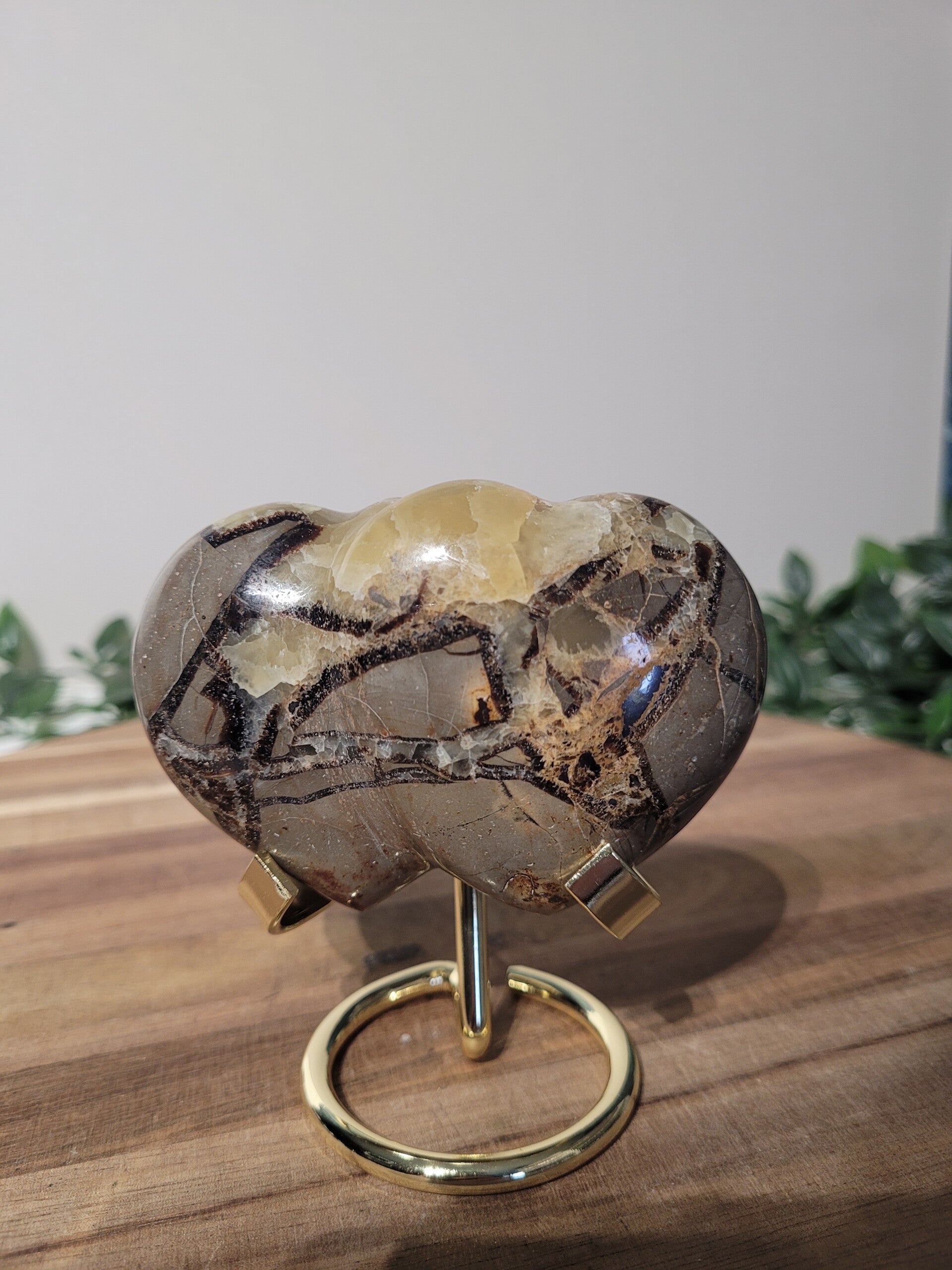 Septarie Dubbel hart