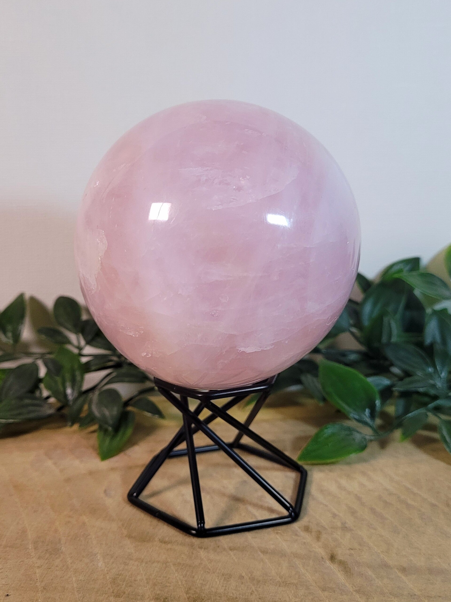 Rozenkwarts Bol 84 mm