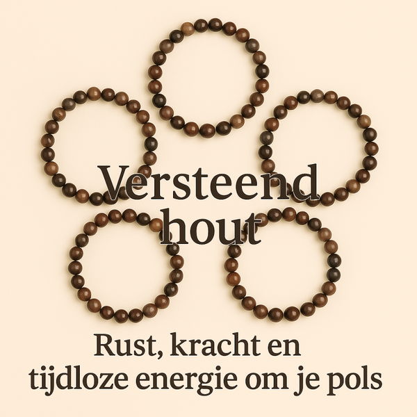Versteend hout kogelarmband | 6 mm