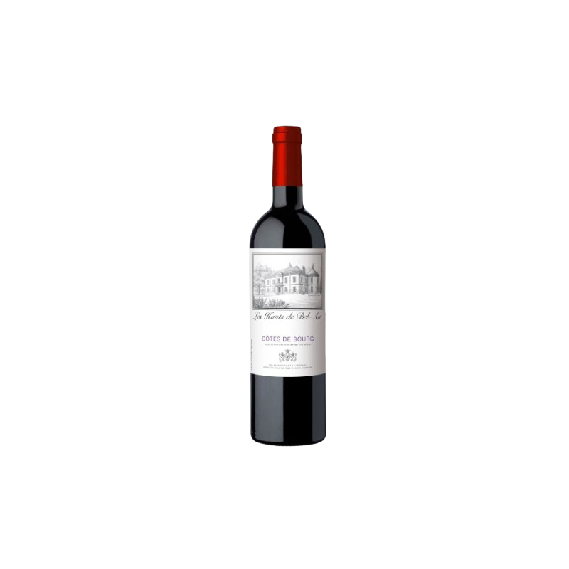 LES HAUTS DE BEL AIR 2022 AOP Médoc Offre carton de 6 bouteilles