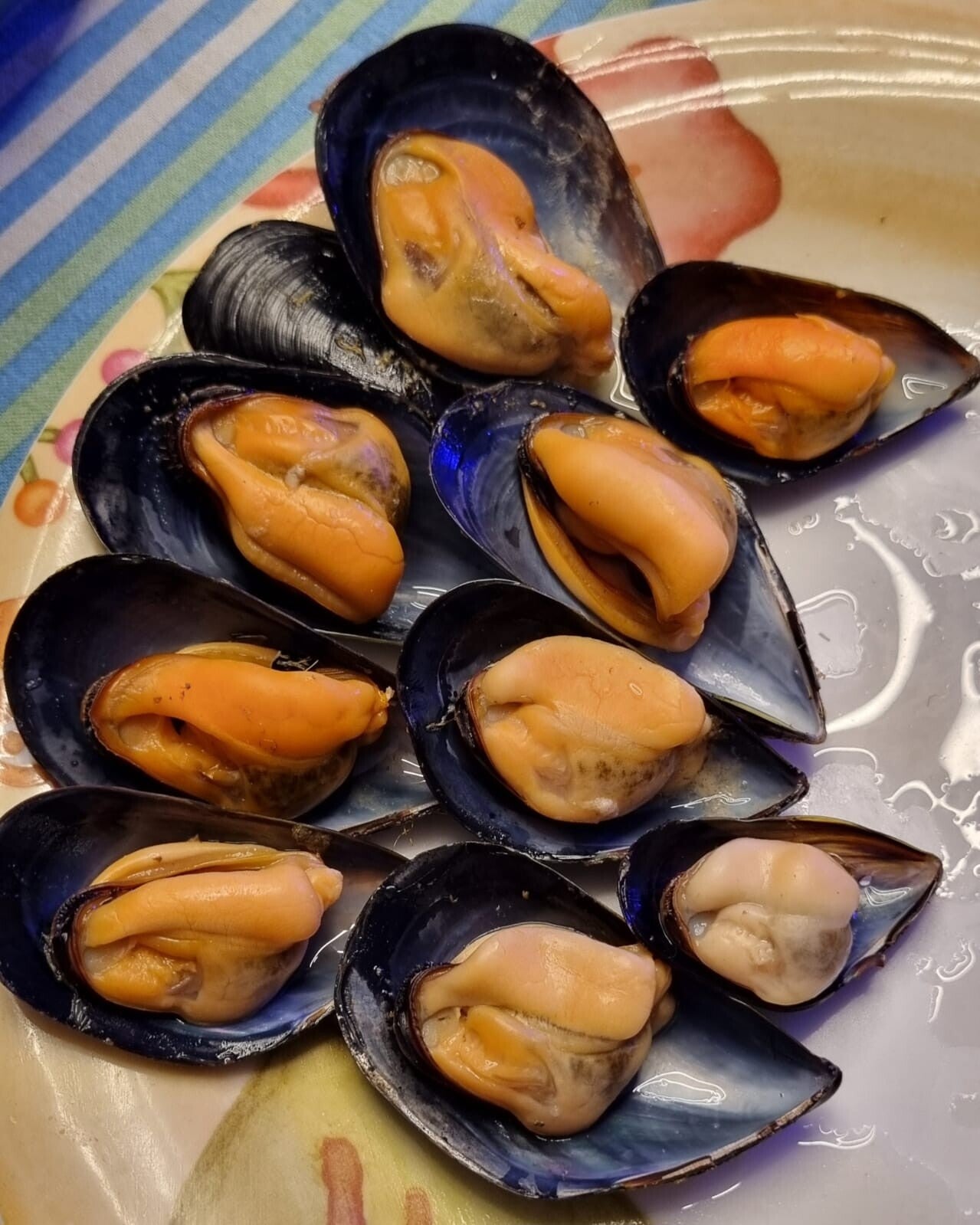 Cozze selvatiche