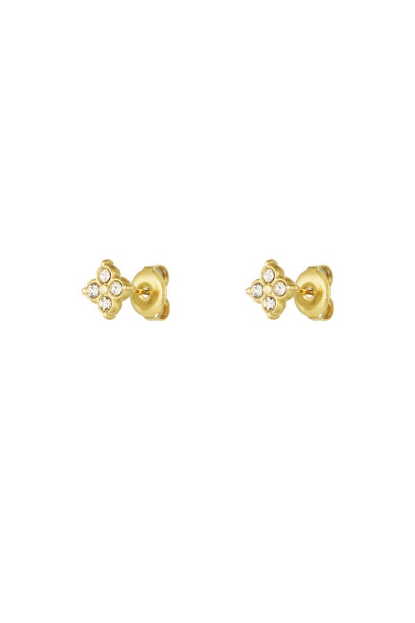 Oorstekers Stars Strass