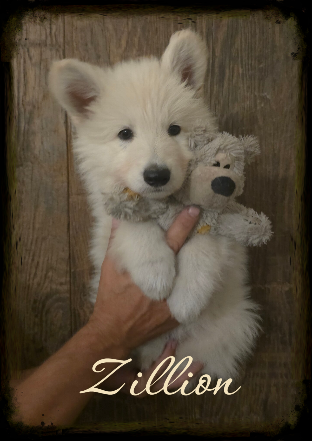 Zillion