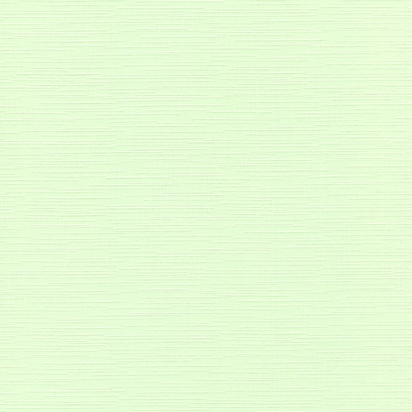 Card Deco linnenkarton A5 19 lichtgroen 10 vellen 240 grams