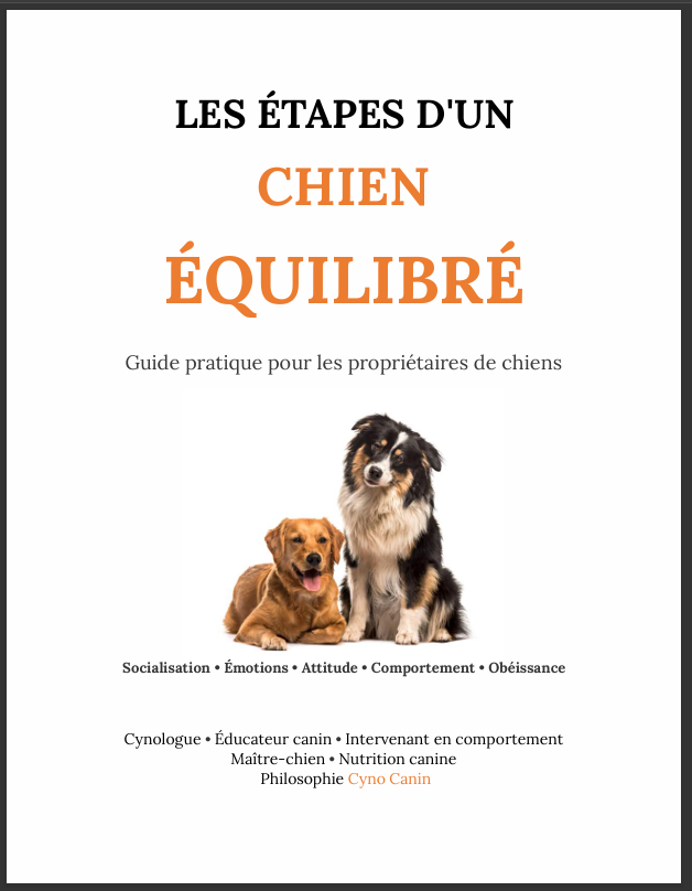 118 pages - PDF