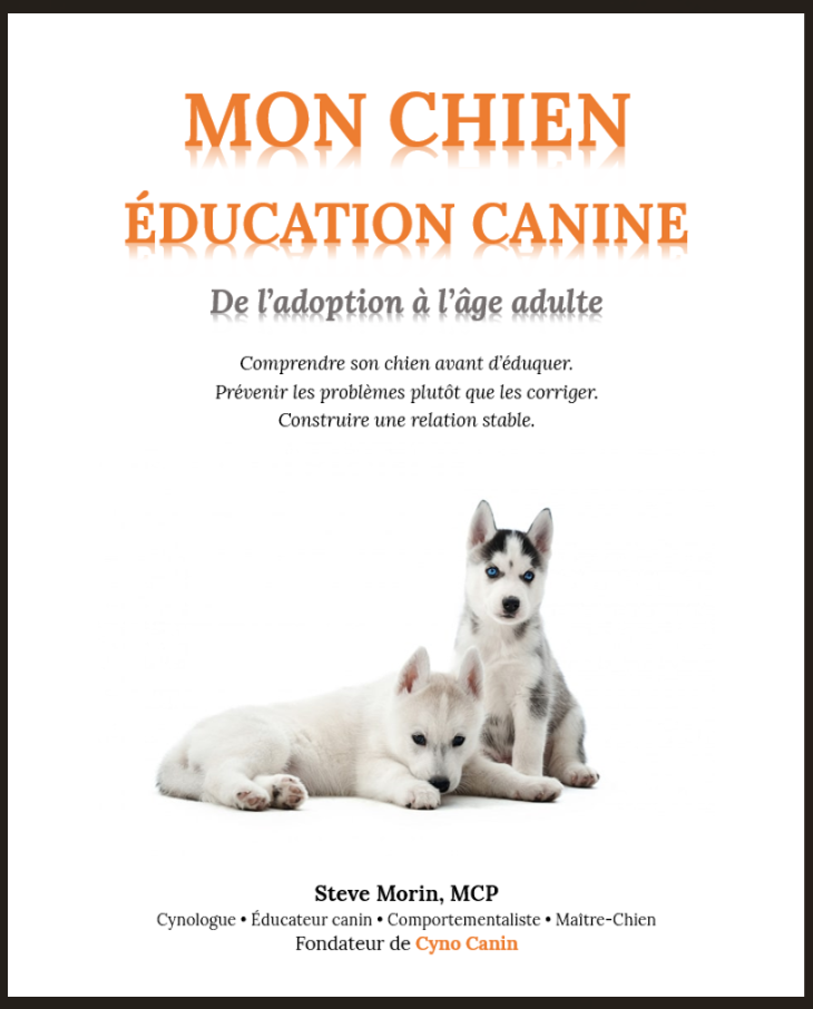 156 pages en format PDF