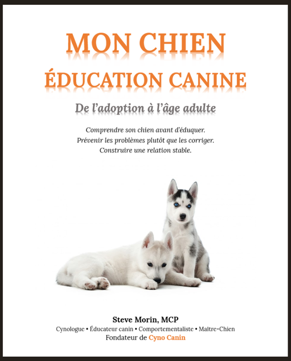 156 pages en format PDF