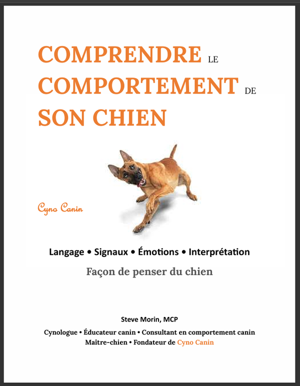 Comprendre le comportement de son chien
