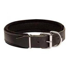 collier-plat-chien-300x300-standard.jpg